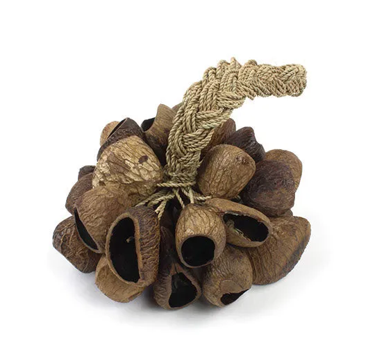 Indonesian Seed Pod Shaker
